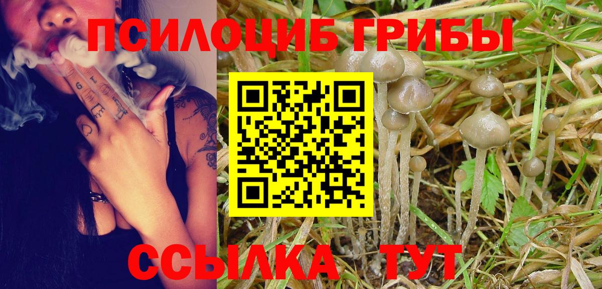 Псилоцибиновые грибы Cubensis  Вход с VPN  Сергиев Посад  Галлюциногенные грибы мухоморы 