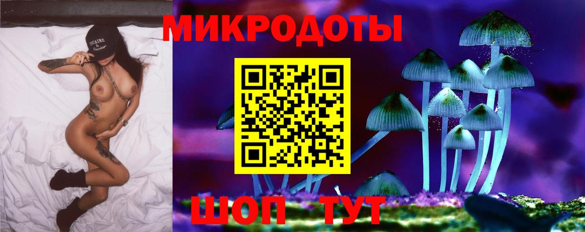 Псилоцибиновые грибы мицелий Сергиев Посад